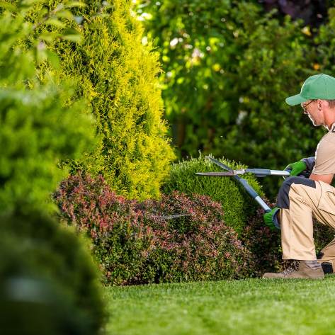 Gartenpflege Krefeld